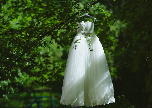 Vestido de noiva pendurado em uma árvore no parque