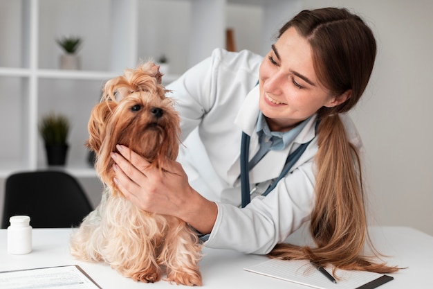 Veterinário verificando a saúde do filhote