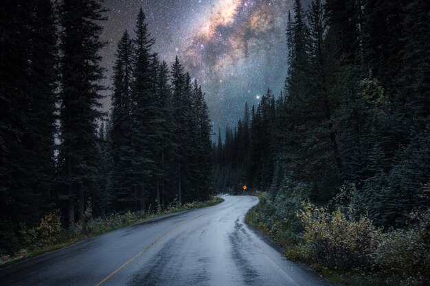 Via láctea com estrelada na rodovia em uma floresta de pinheiros no parque nacional
