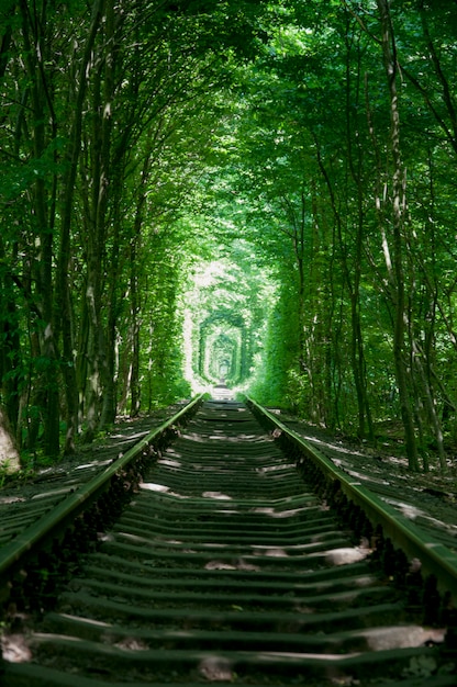 Foto grátis viagem paisagem ucrânia amor estrada de ferro