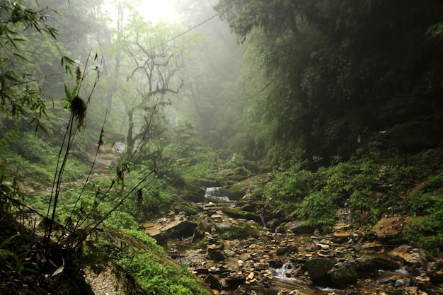 Viajando para o Nepal