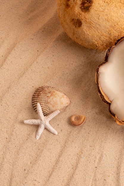 Foto grátis vibrações de verão com coco e estrela do mar