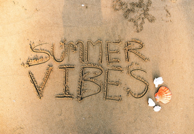 Foto grátis vibrações de verão escritas na areia