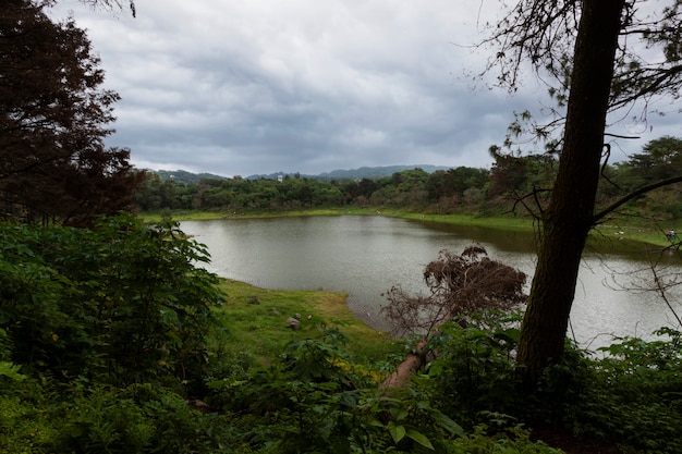 Vida na paisagem do méxico com belo lago