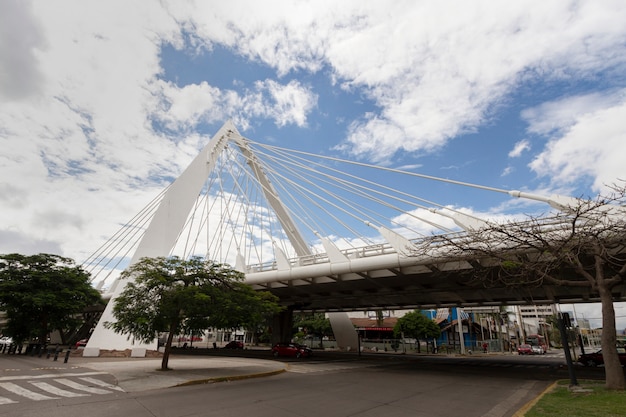 Foto grátis vida na paisagem do méxico com