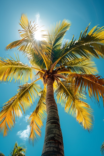 Foto grátis view of palm tree species with green foliage