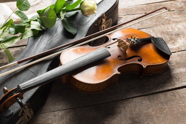 Violino lindo