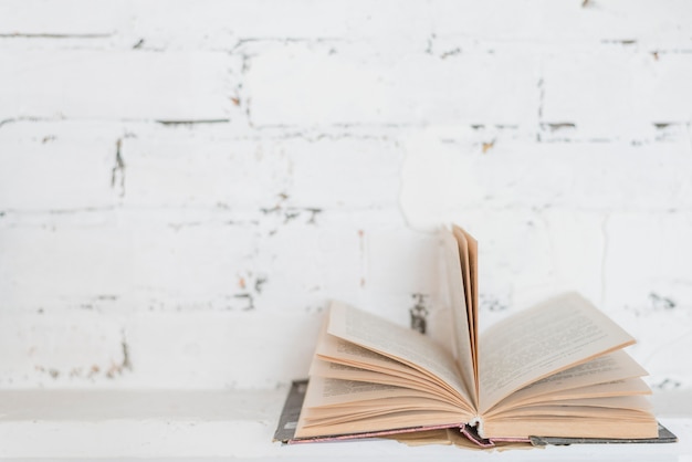 Virando as páginas do livro contra a parede de tijolos brancos