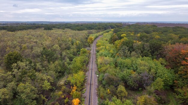Visão aérea de drone da natureza na Moldávia, uma ferrovia passando por uma densa floresta, céu nublado