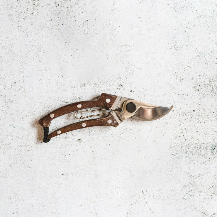 Foto grátis visão aérea, de, secateurs, branco, concreto, fundo