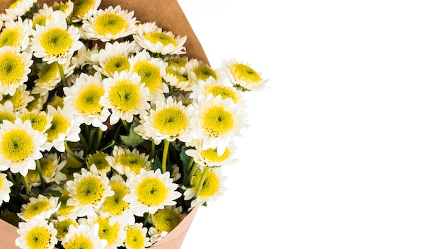 Visão aérea do buquê de flores de camomila contra fundo branco