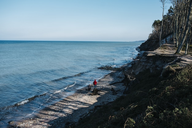 Visão de alto ângulo de pessoas caminhando em uma praia cercada pelo mar durante o dia