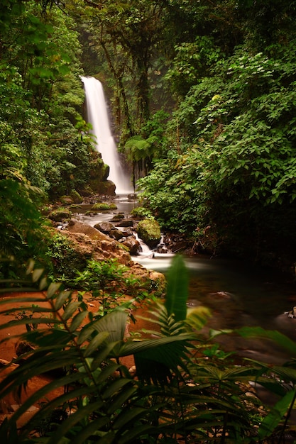 Visão geral das majestosas cachoeiras de La Paz no meio de uma floresta exuberante na Cinchona, Costa Rica