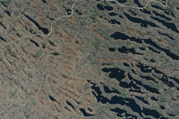 Vista aérea da área do lago com vegetação