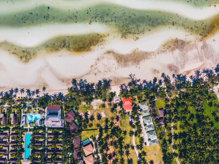 Foto grátis vista aérea da bela praia tropical e mar com árvores na ilha