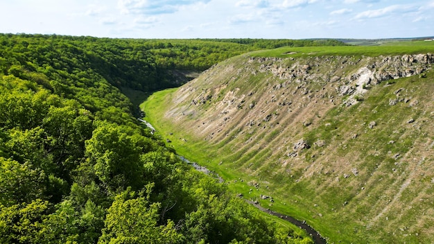 Foto grátis vista aérea da natureza no rio moldova narrow flutuando no desfiladeiro com rochas