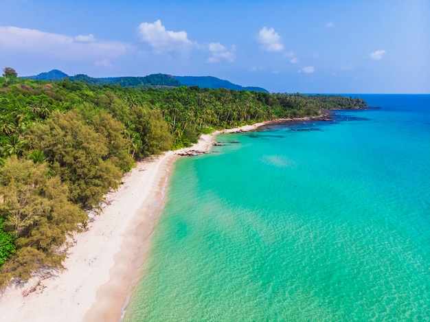 Vista aérea, de, bonito, praia, e, mar, com, coqueiro, árvore