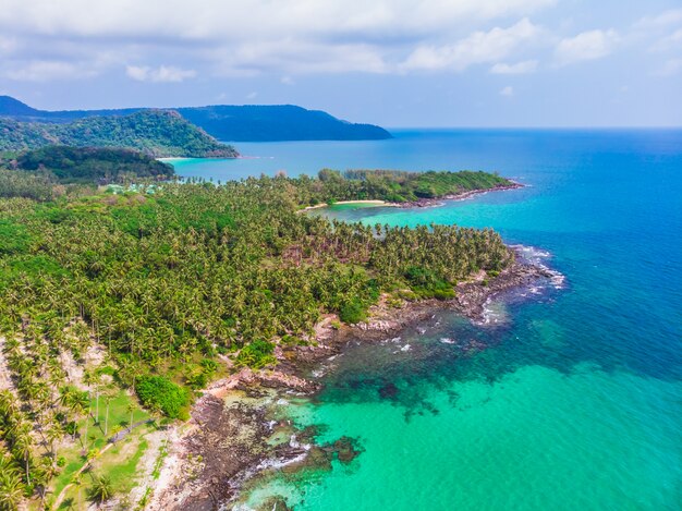 Vista aérea, de, bonito, praia, e, mar, com, coqueiro, árvore