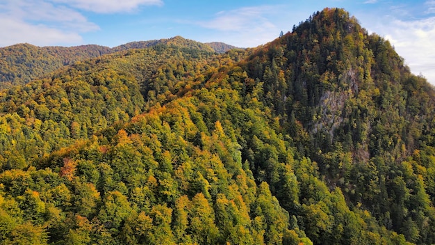 Vista aérea de drones da natureza nas montanhas dos Cárpatos da Romênia cobertas por uma floresta verde exuberante