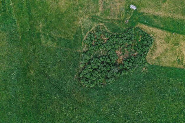 Foto grátis vista aérea de planícies e campos