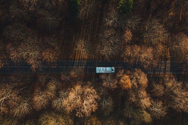 Vista aérea de um carro dirigindo na estrada de asfalto cercado por árvores douradas no outono