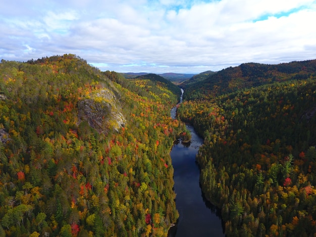 Vista aérea de uma bela paisagem montanhosa coberta de árvores coloridas