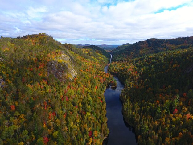 Vista aérea de uma bela paisagem montanhosa coberta de árvores coloridas