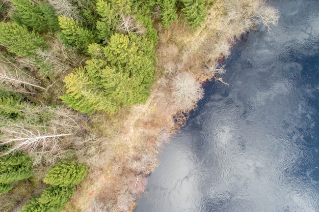 Vista aérea de uma densa floresta com árvores perenes de outono cultivadas em uma superfície de água reflexiva