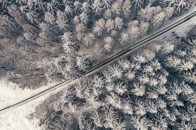 Vista aérea de uma estrada entre árvores em uma floresta de inverno