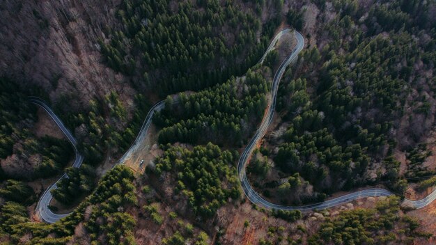 Vista aérea de uma estrada sinuosa cercada por verdes e árvores