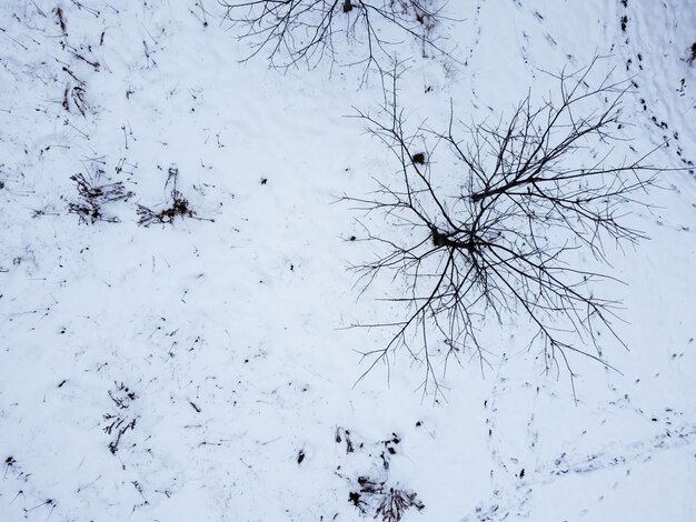 Vista aérea de uma superfície de neve