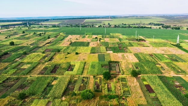 Vista aérea de vários tamanhos de campos verdes