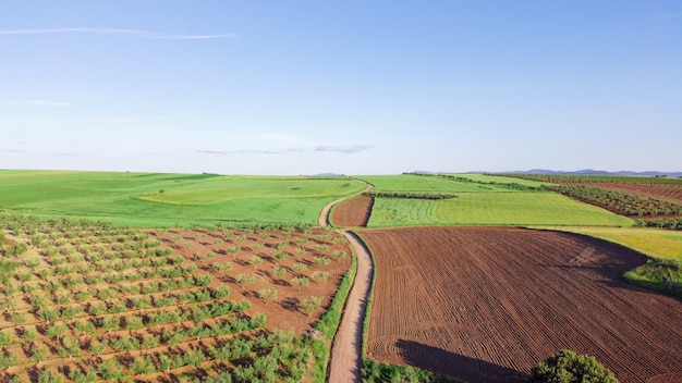 Vista aérea de vastas fazendas com uma estrada secundária no meio