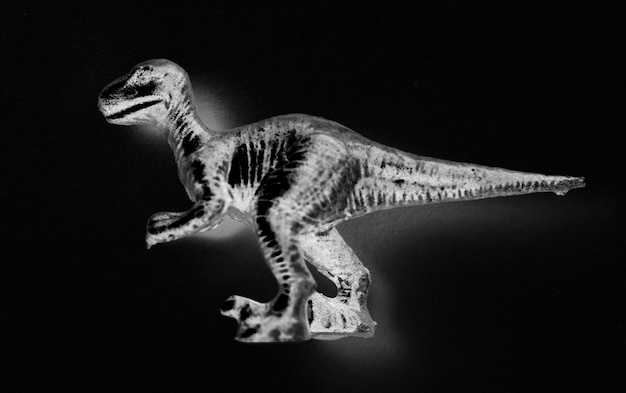 Vista aérea do brinquedo dinossauro com efeitos negativos