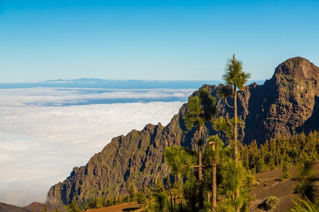 Vista aérea do vulcão Teide acima das nuvens com árvores em primeiro plano