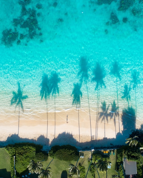 Vista aérea dos reflexos das palmeiras nas águas turquesas do mar