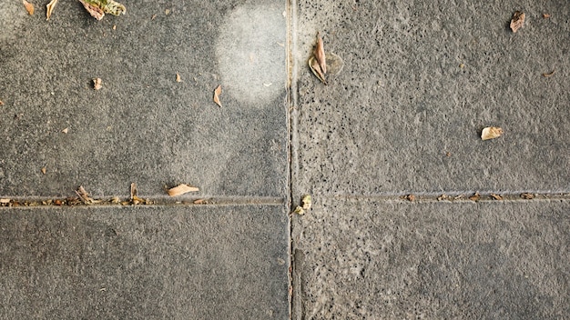 Foto grátis vista alta ângulo, de, cimento, concreto, chão, com, secos, folhas