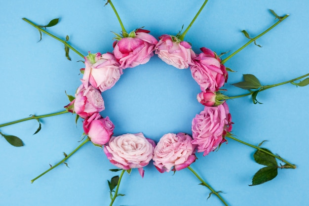 Foto grátis vista alta ângulo, de, cor-de-rosa, rosas, organizado, ligado, redondo, forma