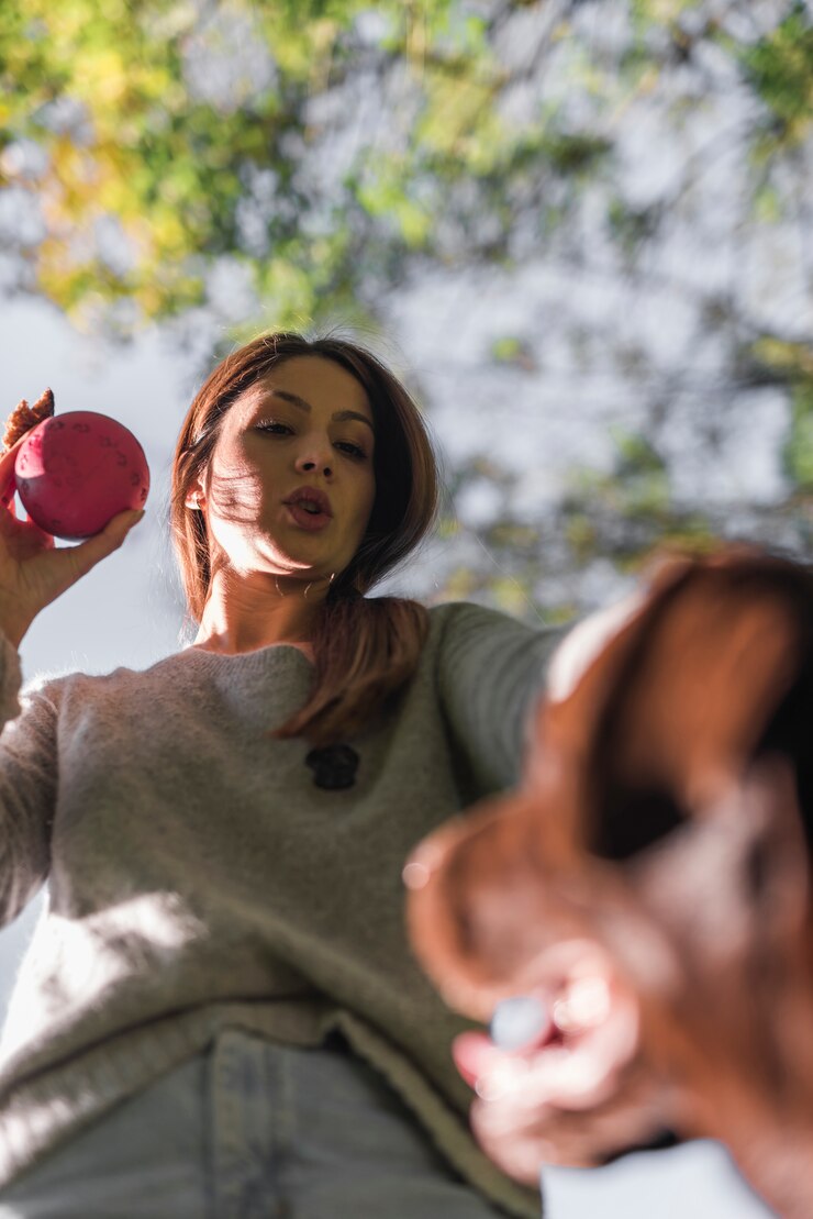 Foto grátis vista baixa ângulo, de, femininas, pet, proprietário, segurando bola