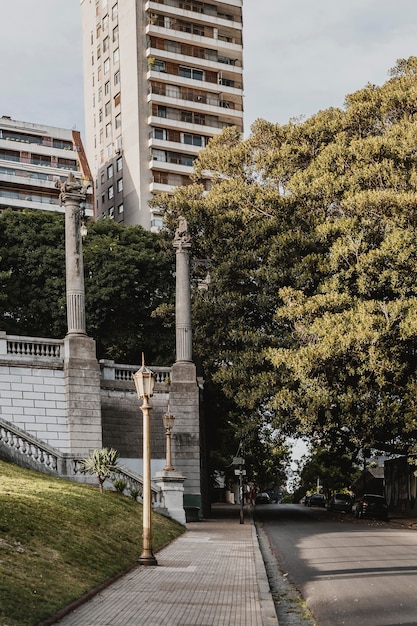 Vista da cidade com árvores e rua