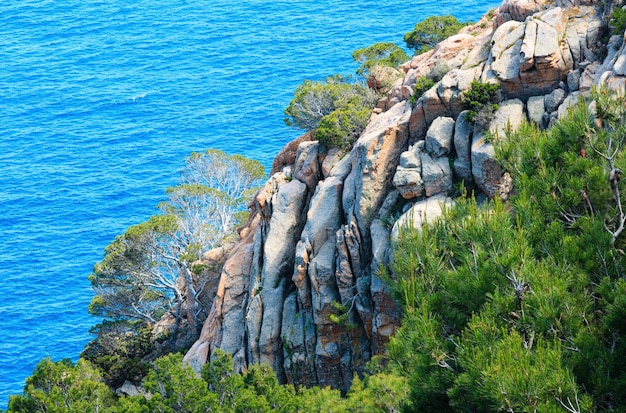 Vista da costa rochosa do mar de verão (costa brava, catalunha, espanha). Foto Premium