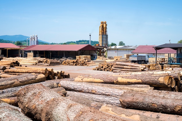 Vista da fábrica de serraria industrial para processamento de madeira