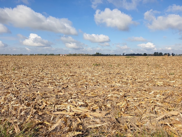 Vista da grama seca em um vale sob um céu nublado