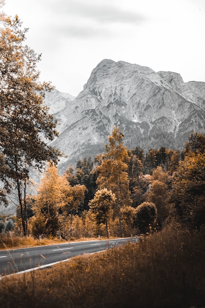 Vista da montanha rochosa com estrada