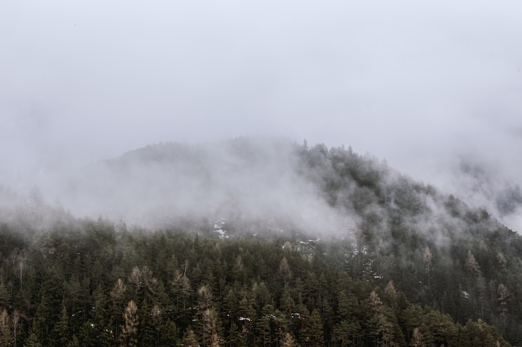 Foto grátis vista da montanha verde coberta por nevoeiro