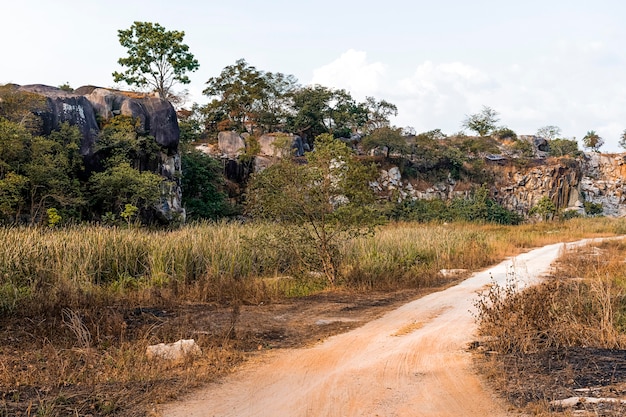 Vista da paisagem africana com árvores e estrada