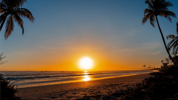 Foto grátis vista da praia com pôr-do-sol e palmeiras