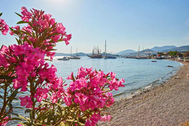 Vista da praia de Bodrum, mar Egeu, casas brancas tradicionais, flores, marina, barcos à vela