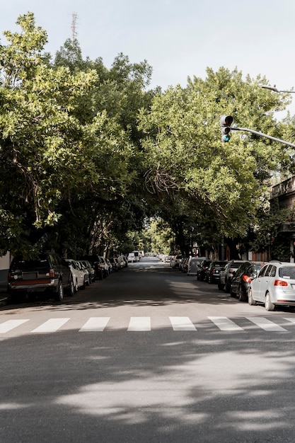 Vista da rua da cidade com árvores e cartão