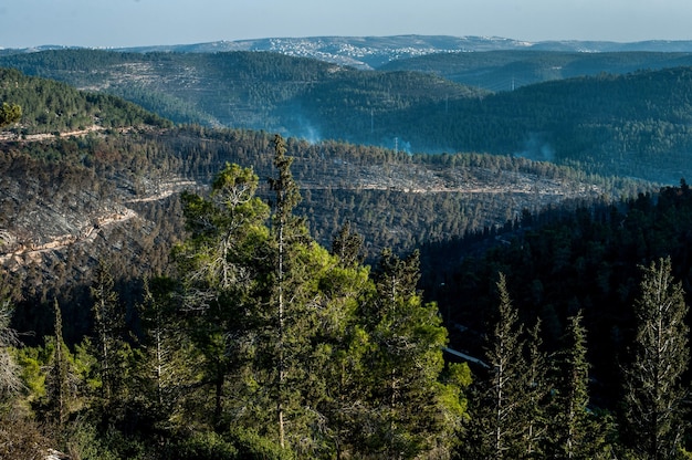 Vista de alto ângulo de um cenário de floresta nas montanhas durante o dia